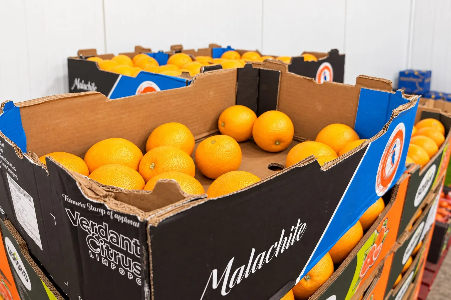Open boxes of fresh oranges ready for dispatch